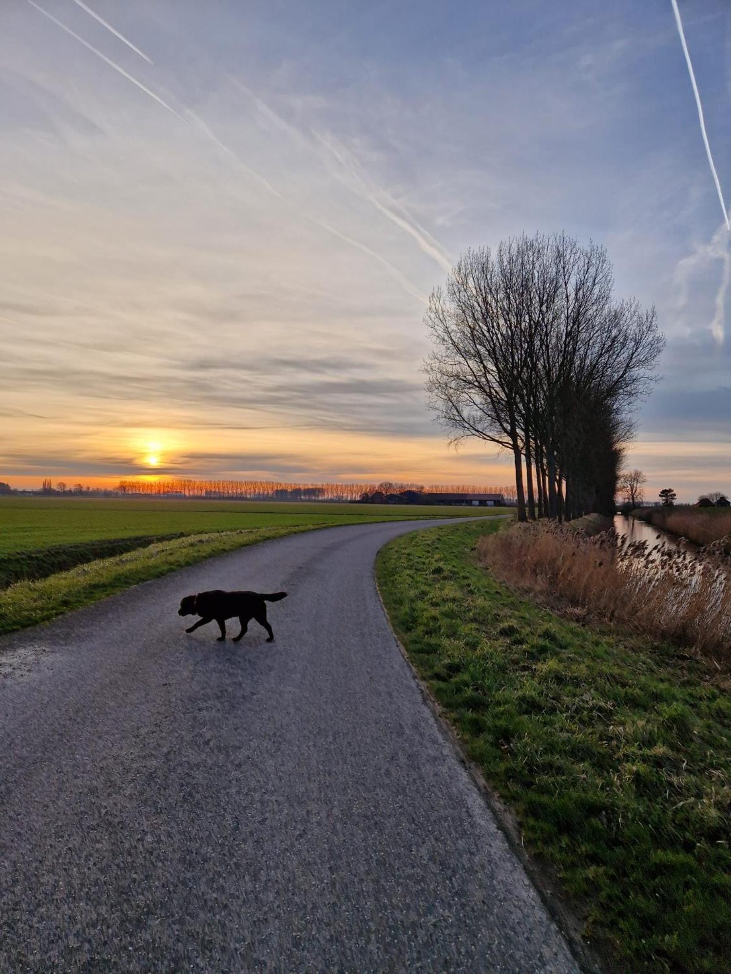 Villa De Bedstee Schoondijke Esterno foto