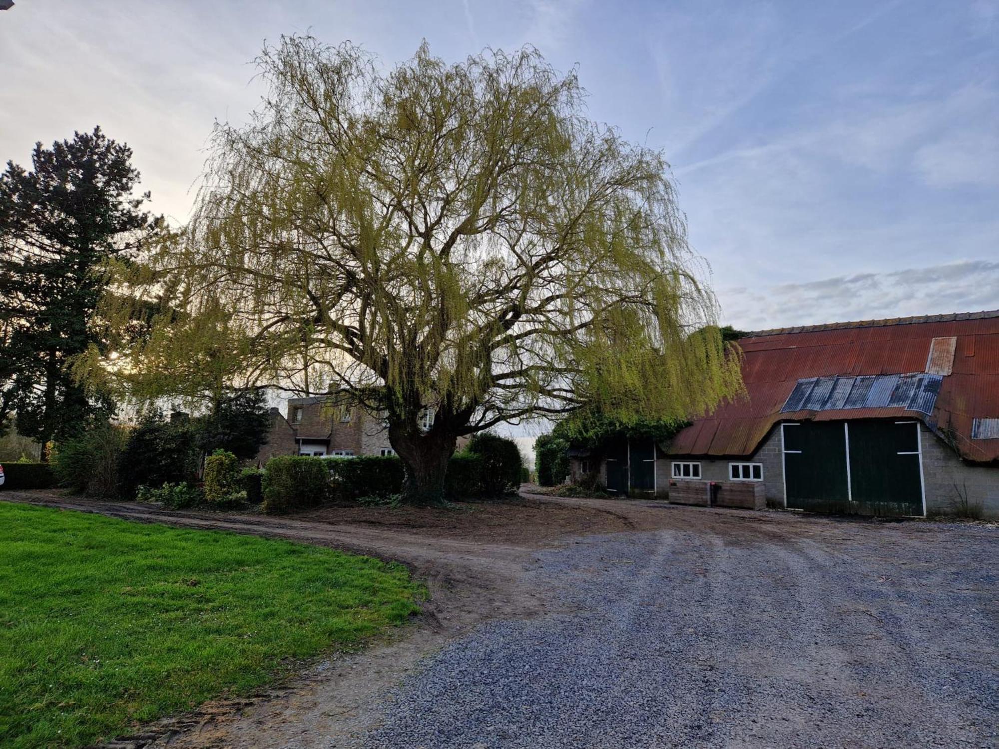Villa De Bedstee Schoondijke Esterno foto